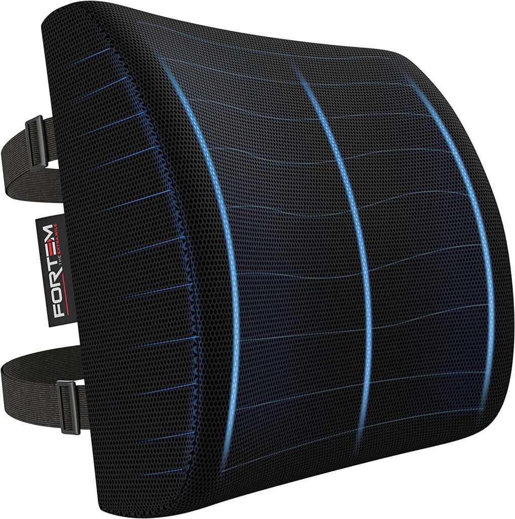 FORTEM Cojín Lumbar Ergonómico para Silla de Oficina, Coche y Gaming, con Espuma Viscoelástica de Alta Densidad y Funda Lavable, Respaldo Ortopédico para Mayor Comodidad